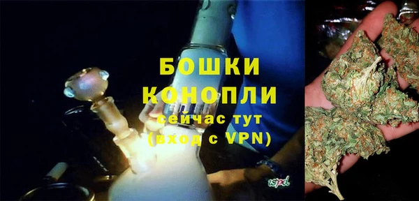 амф Арсеньев