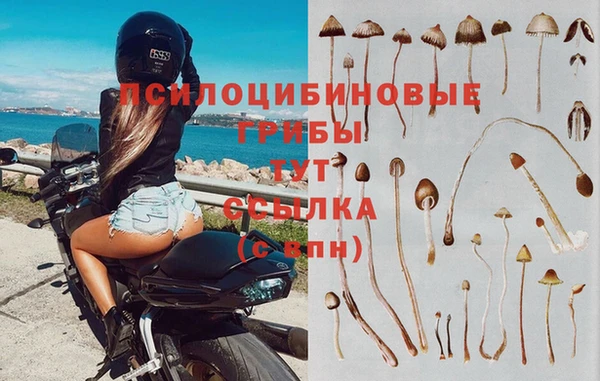 амф Арсеньев