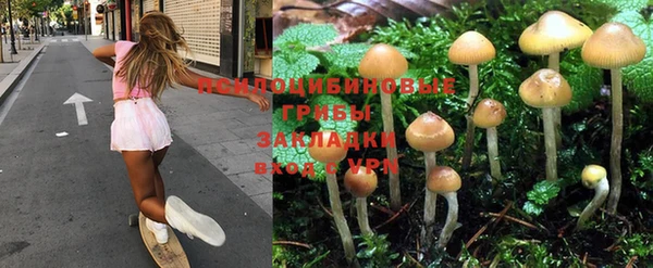 амф Арсеньев