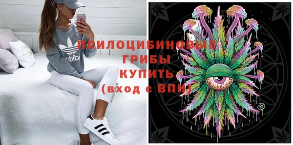 амф Арсеньев