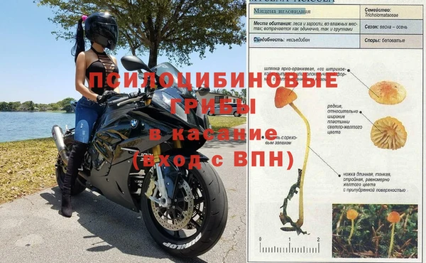 амф Арсеньев