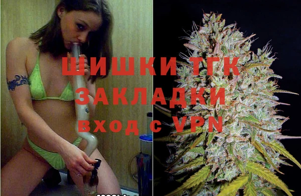 амф Арсеньев
