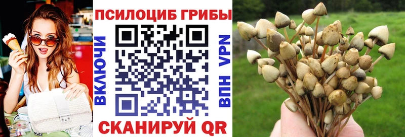 Псилоцибиновые грибы Psilocybe  Темрюк 